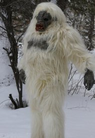 Affiche de Snow Beast