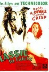 Affiche de La Fidèle Lassie