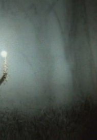 Affiche de Le Hérisson dans le brouillard