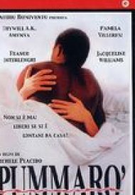 Affiche de Pummaro