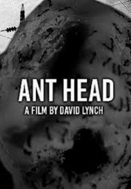 Affiche de Ant Head