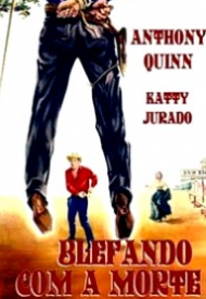Affiche de Le Tueur et la belle