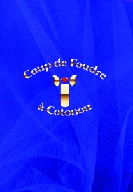 Affiche de Coup de Foudre à Cotonou
