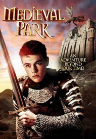 Affiche de Teen Knight