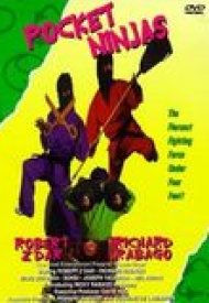 Affiche de Pocket Ninjas