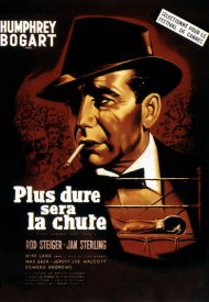 Affiche de Plus dure sera la chute