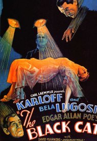 Affiche de Le Chat noir