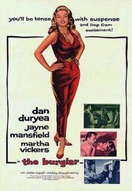 Affiche de Le Cambrioleur