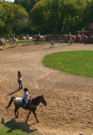 Affiche de Horse Camp: En quête d'amour