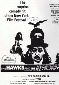 Affiche de Des oiseaux petits et grands