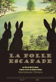 Affiche de La Folle escapade