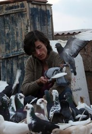 Affiche de Le Pigeon
