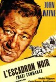 Affiche de L'Escadron noir