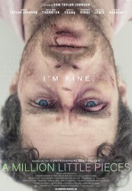 Affiche de A Million Little Pieces