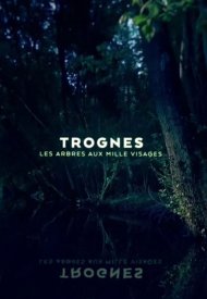 Affiche de Trognes, les arbres aux milles visages