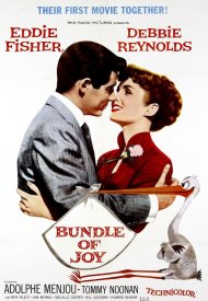 Affiche de Bundle of Joy