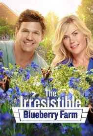 Affiche de Un amour irrésistible