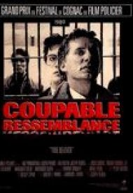 Affiche de Coupable Ressemblance