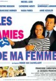 Affiche de Les amies de ma femme