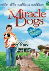 Affiche de Un miracle à 19 pattes