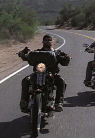 Affiche de Born to Ride