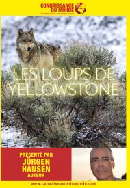 Affiche de Connaissance du monde : Les Loups de Yellowstone