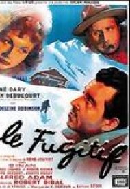 Affiche de Le Fugitif