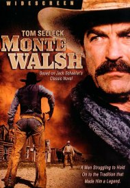 Affiche de Le Dernier Cow-boy