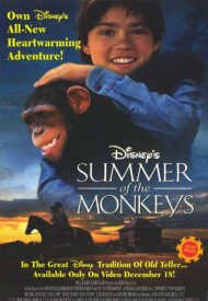 Affiche de Malin comme un singe