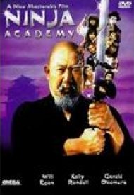 Affiche de Ninja Academy