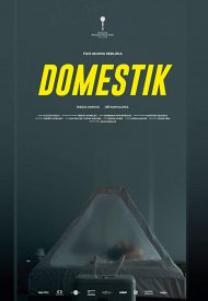 Affiche de Domestique