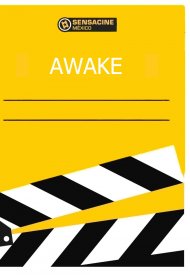 Affiche de Awake