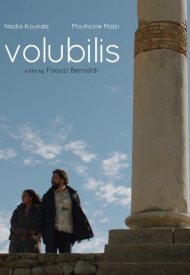 Affiche de Volubilis