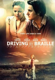 Affiche de Driving by Braille