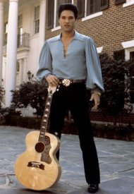 Affiche de Le Roman d'Elvis