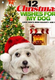 Affiche de Les Douze vœux de Noël (TV)