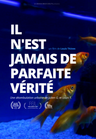 Affiche de Il n'est jamais de parfaite vérité