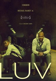 Affiche de LUV
