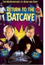 Affiche de Dans la grotte de Batman
