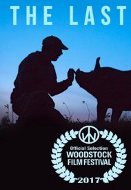 Affiche de The last pig