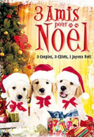 Affiche de 3 Amis pour Noël