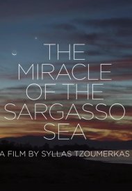 Affiche de The Miracle of the Sargasso Sea