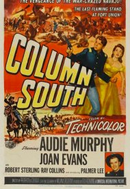 Affiche de L'héroïque lieutenant