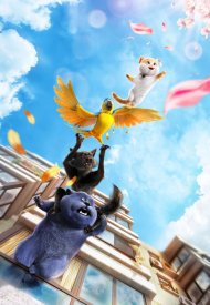Affiche de Oscar et le monde des chats