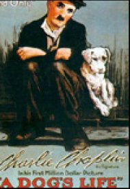 Affiche de Une Vie de chien