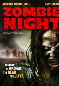 Affiche de Zombie Night
