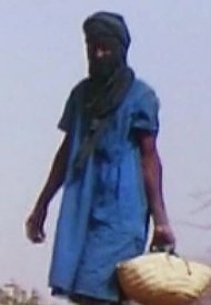 Affiche de Agroécologie de survie en Afrique avec René Dumont