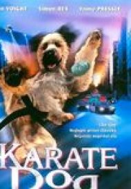 Affiche de Karaté Dog