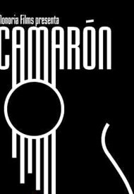 Affiche de Camarón