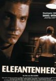 Affiche de Elefantenherz